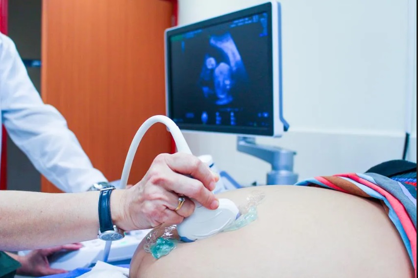 Curso de Técnicas de Imágenes en Ginecología y Obstetricia