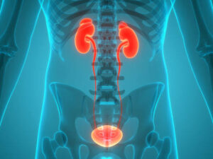Curso de Estudios Radiológicos del Sistema Urinario